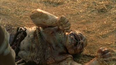 изображение,скриншот к Ходячие мертвецы / The Walking Dead [1,2,3,4,5,6,7,8,9 сезоны] (2010-2019)