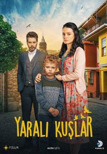 Раненые птицы / Yarali Kuslar (2019) Сериал 1-60 серия